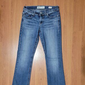 BKE Denim Payton Jeans